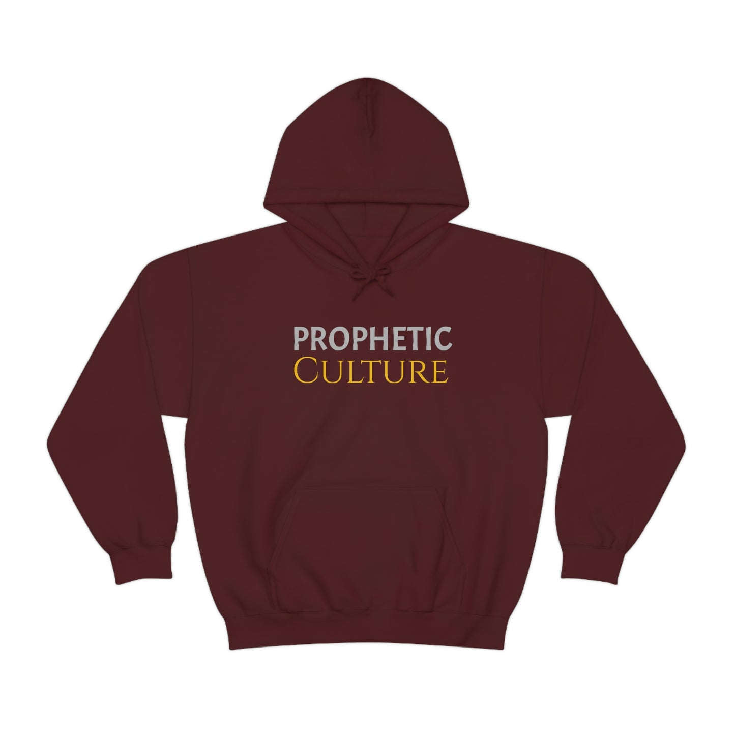 My Prophetic Culture Hoodie