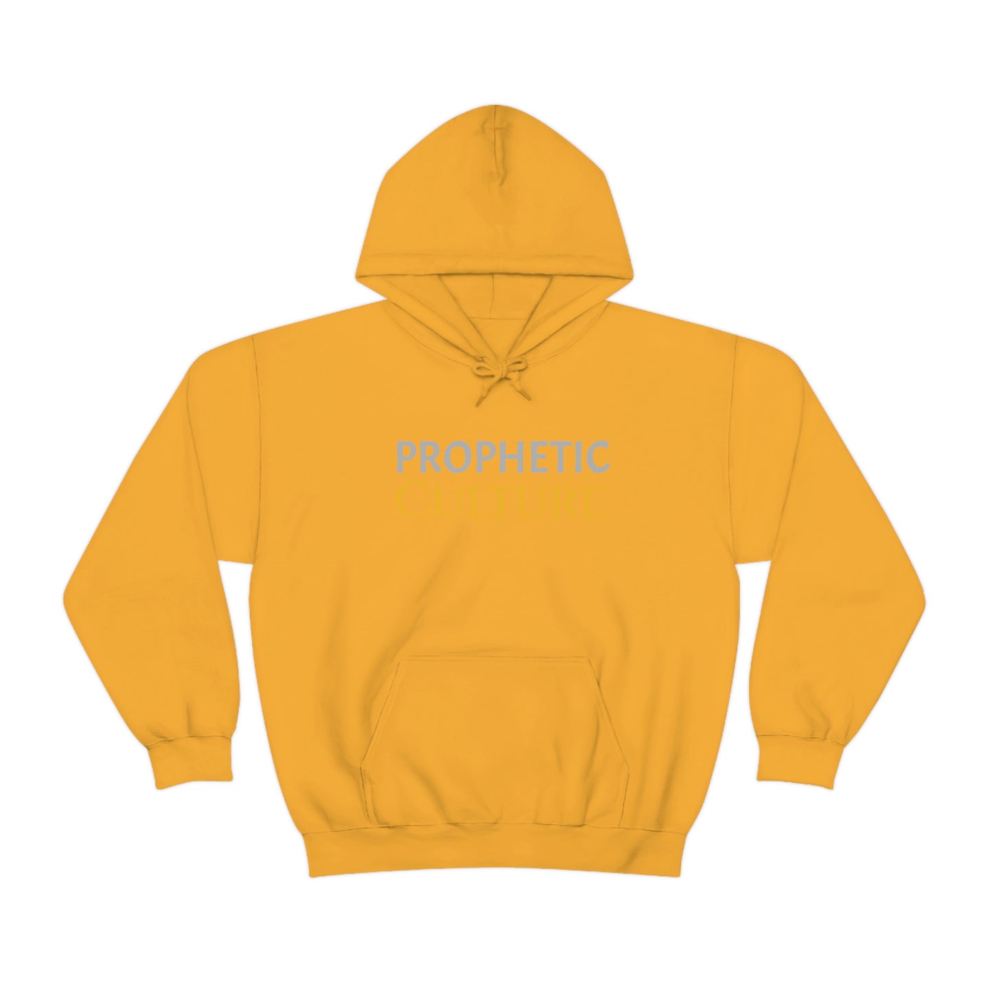 My Prophetic Culture Hoodie