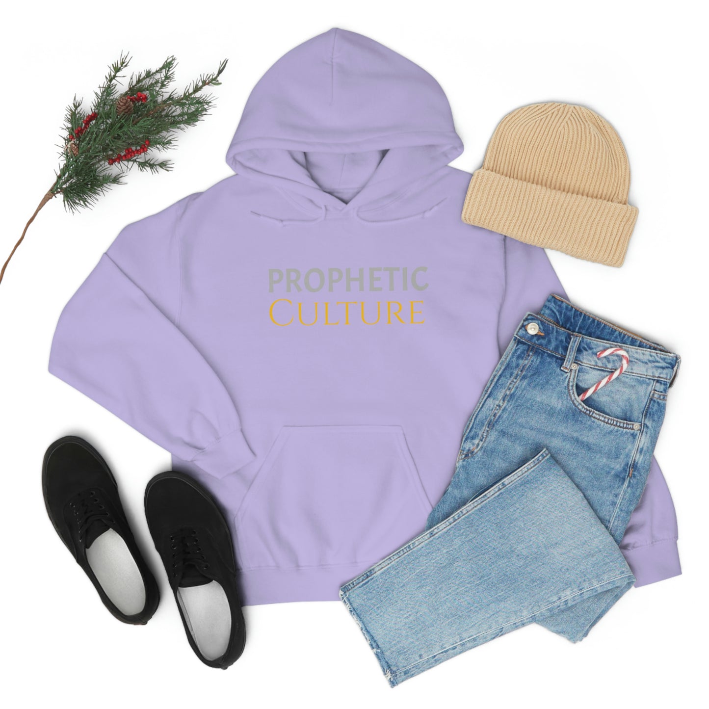My Prophetic Culture Hoodie