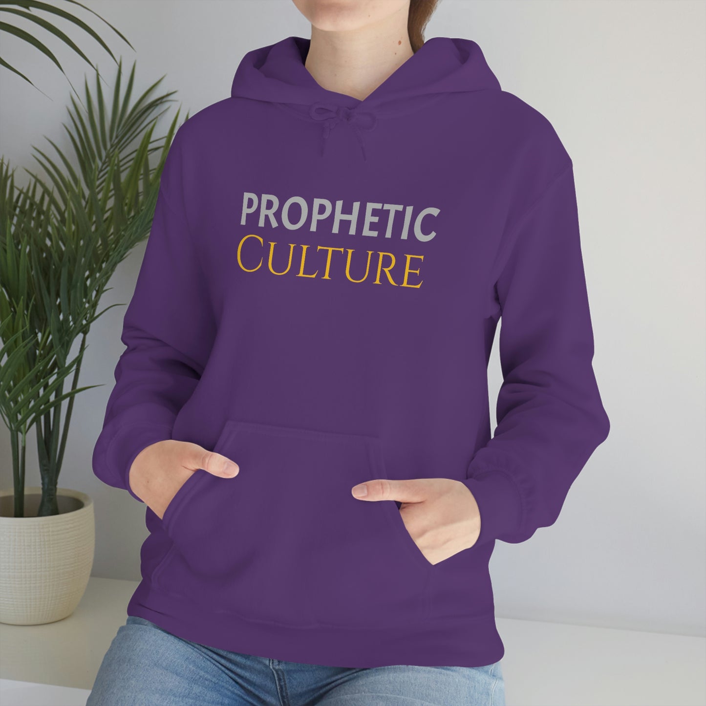 My Prophetic Culture Hoodie