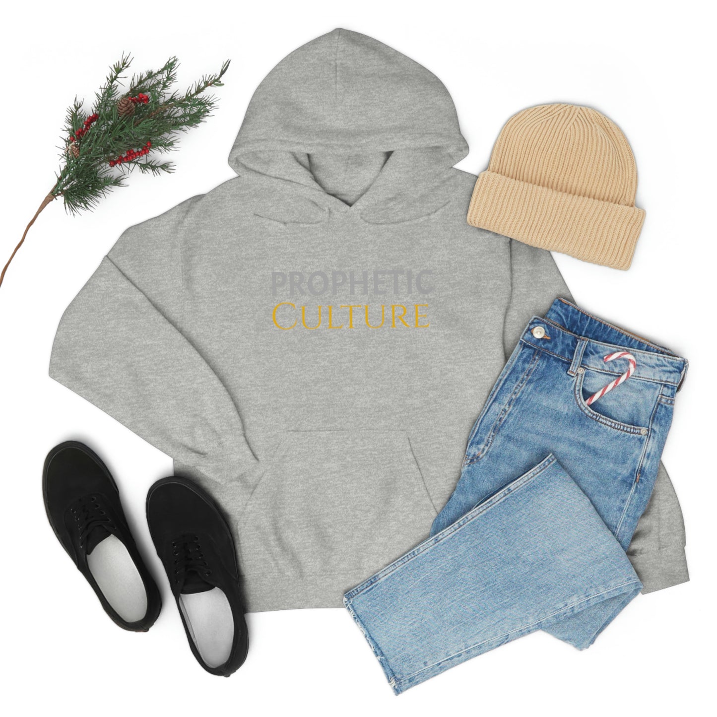 My Prophetic Culture Hoodie