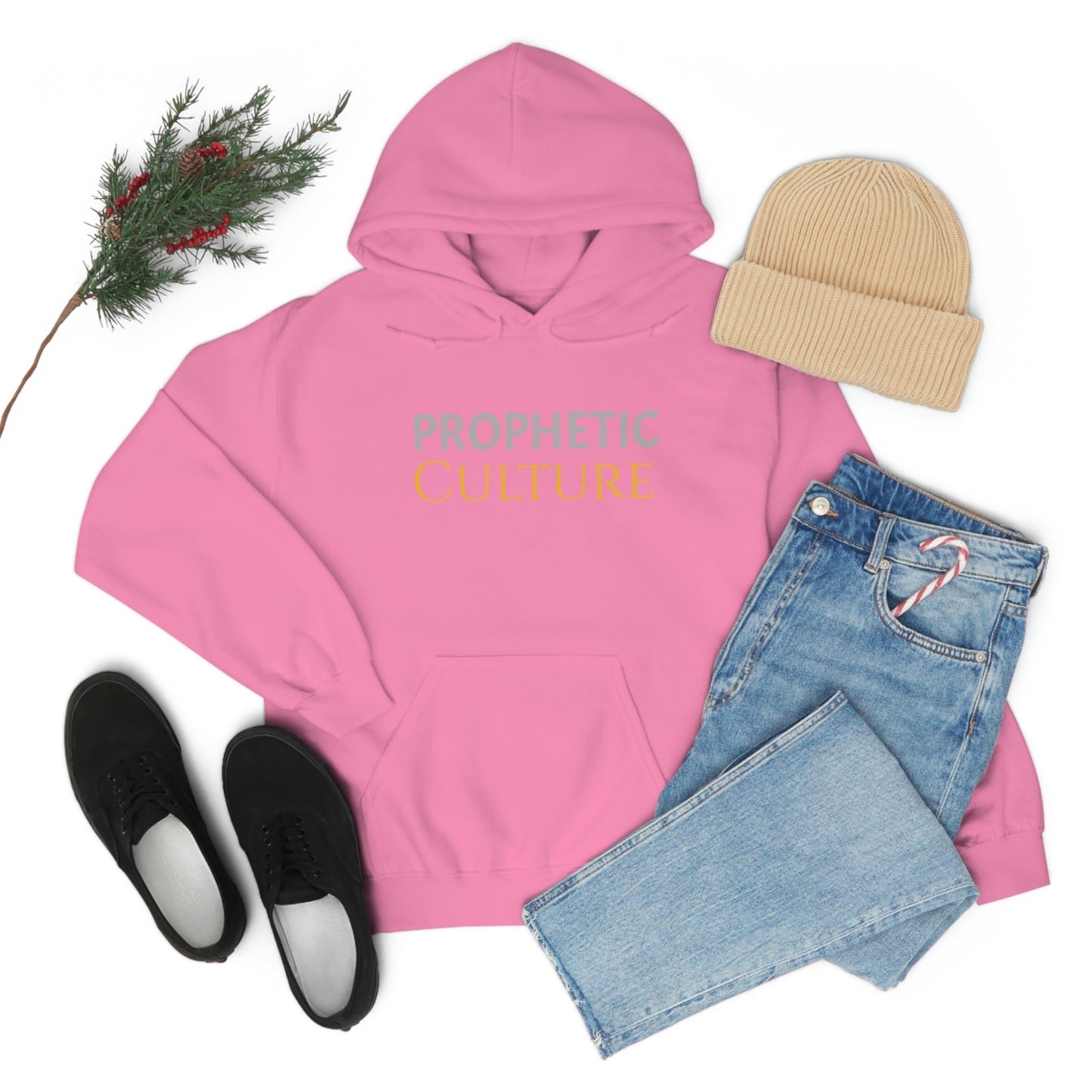 My Prophetic Culture Hoodie
