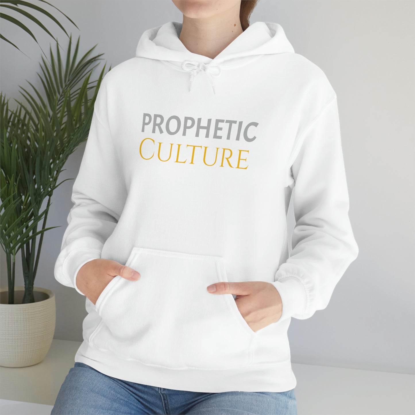 My Prophetic Culture Hoodie