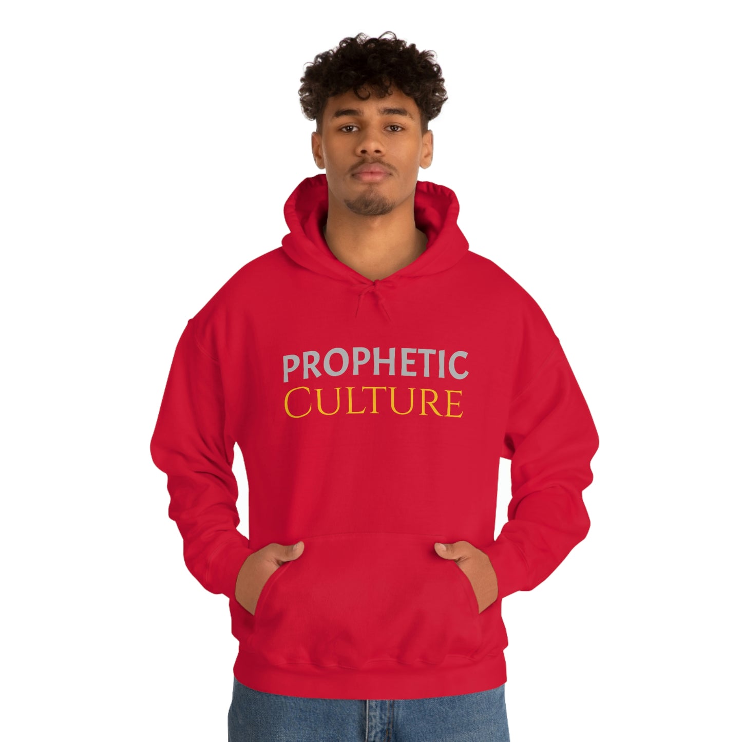 My Prophetic Culture Hoodie